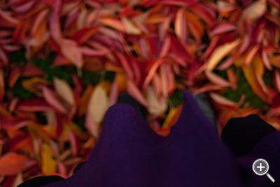 Klicka fÃ¶r stÃ¶rre