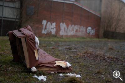 Klicka fÃ¶r stÃ¶rre