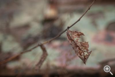 Klicka fÃ¶r stÃ¶rre