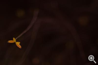 Klicka fÃ¶r stÃ¶rre