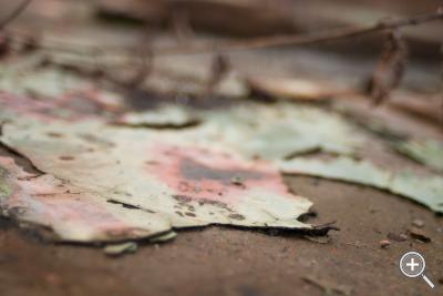 Klicka fÃ¶r stÃ¶rre