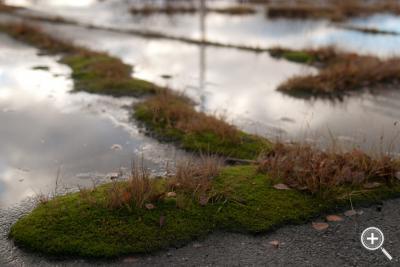 Klicka fÃ¶r stÃ¶rre