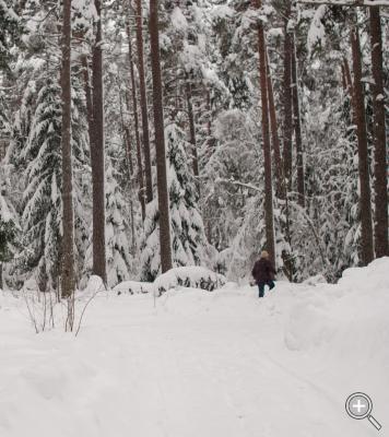 Klicka fÃ¶r stÃ¶rre