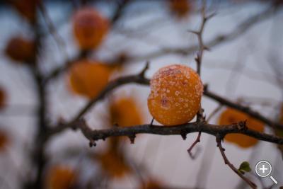 Klicka fÃ¶r stÃ¶rre
