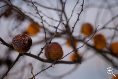 Klicka fÃ¶r stÃ¶rre