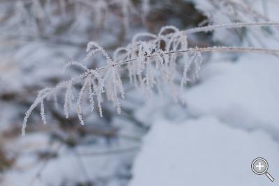 Klicka fÃ¶r stÃ¶rre