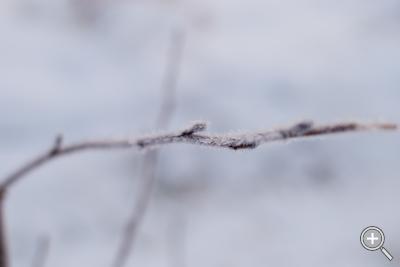 Klicka fÃ¶r stÃ¶rre