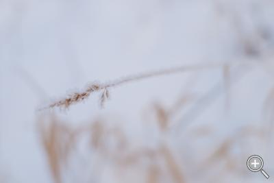 Klicka fÃ¶r stÃ¶rre