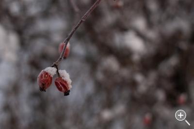 Klicka fÃ¶r stÃ¶rre