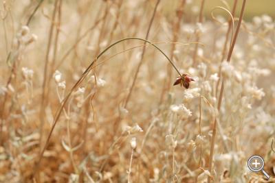 Klicka fÃ¶r stÃ¶rre
