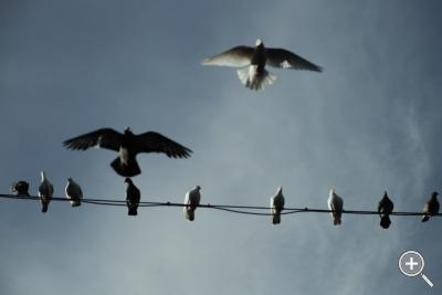 Klicka fÃ¶r stÃ¶rre