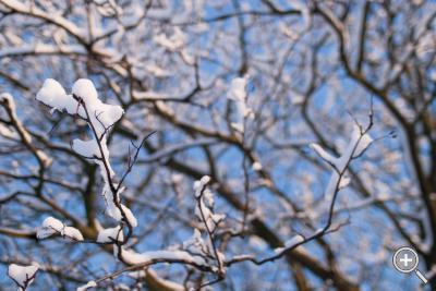 Klicka fÃ¶r stÃ¶rre