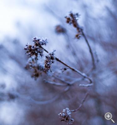 Klicka fÃ¶r stÃ¶rre