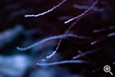 Klicka fÃ¶r stÃ¶rre