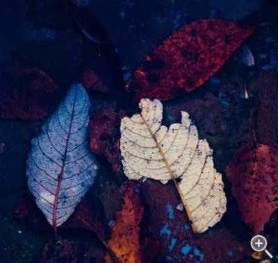 Klicka fÃ¶r stÃ¶rre