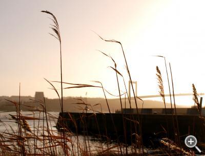 Klicka fÃ¶r stÃ¶rre