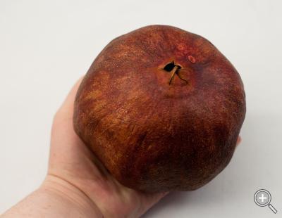 Klicka fÃ¶r stÃ¶rre