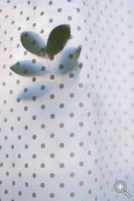 Klicka fÃ¶r stÃ¶rre