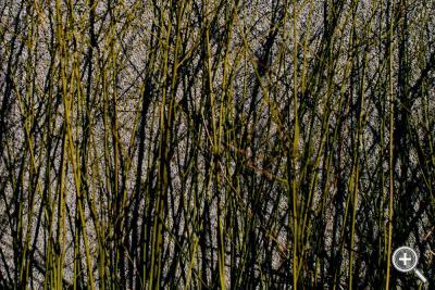 Klicka fÃ¶r stÃ¶rre