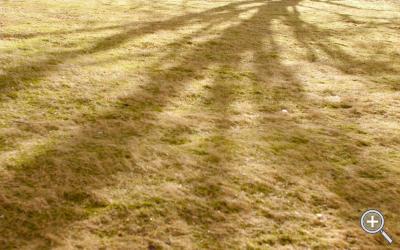 Klicka fÃ¶r stÃ¶rre