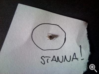 Klicka fÃ¶r stÃ¶rre