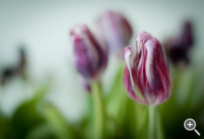 Klicka fÃ¶r stÃ¶rre