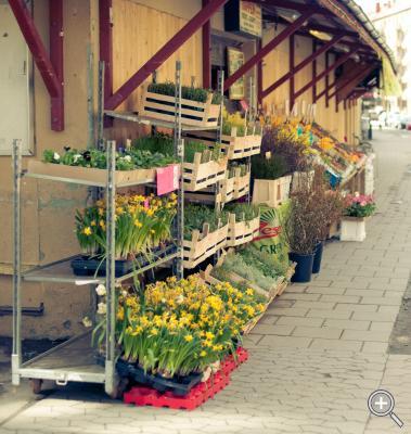 Klicka fÃ¶r stÃ¶rre