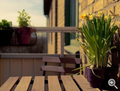 Klicka fÃ¶r stÃ¶rre