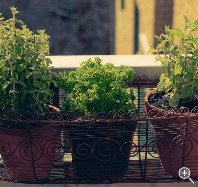 Klicka fÃ¶r stÃ¶rre