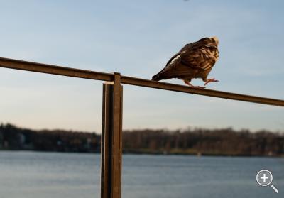 Klicka fÃ¶r stÃ¶rre