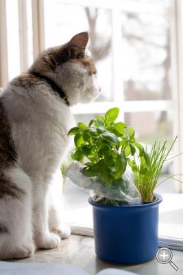 Klicka fÃ¶r stÃ¶rre