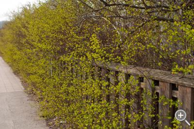 Klicka fÃ¶r stÃ¶rre