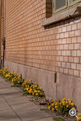 Klicka fÃ¶r stÃ¶rre