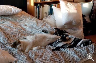 Klicka fÃ¶r stÃ¶rre