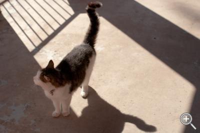 Klicka fÃ¶r stÃ¶rre