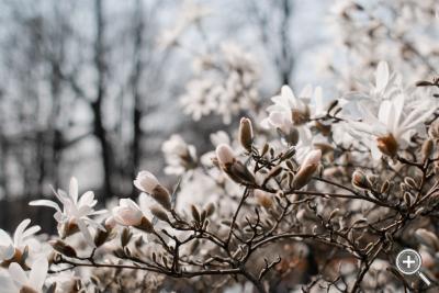 Klicka fÃ¶r stÃ¶rre