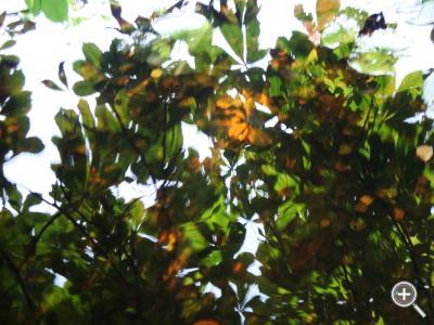 Klicka fÃ¶r stÃ¶rre