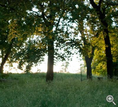 Klicka fÃ¶r stÃ¶rre