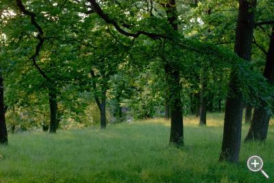 Klicka fÃ¶r stÃ¶rre