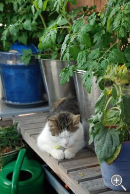 Klicka fÃ¶r stÃ¶rre