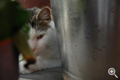 Klicka fÃ¶r stÃ¶rre