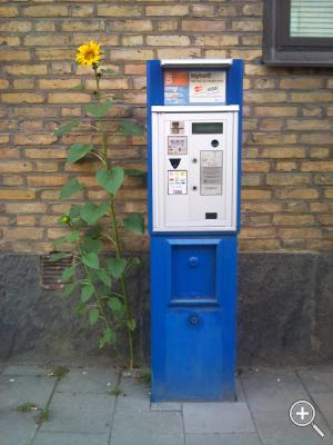 Klicka fÃ¶r stÃ¶rre