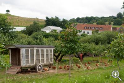 Klicka fÃ¶r stÃ¶rre