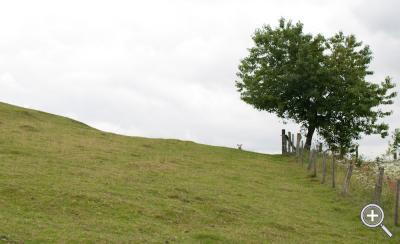 Klicka fÃ¶r stÃ¶rre