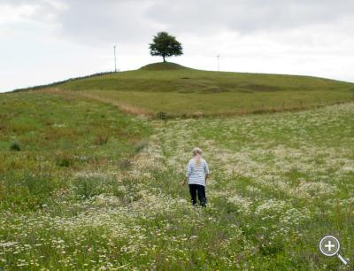 Klicka fÃ¶r stÃ¶rre