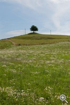 Klicka fÃ¶r stÃ¶rre