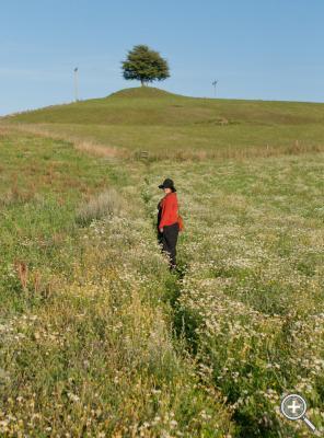 Klicka fÃ¶r stÃ¶rre