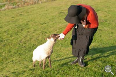 Klicka fÃ¶r stÃ¶rre