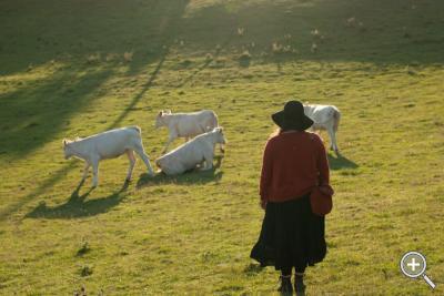Klicka fÃ¶r stÃ¶rre