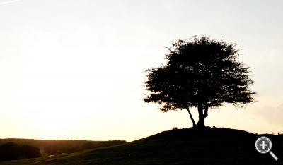 Klicka fÃ¶r stÃ¶rre